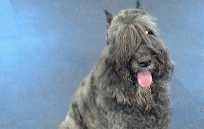 Sandy sitting pretty.